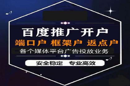 某品牌SEM广告策略揭秘——代运营公司的智慧